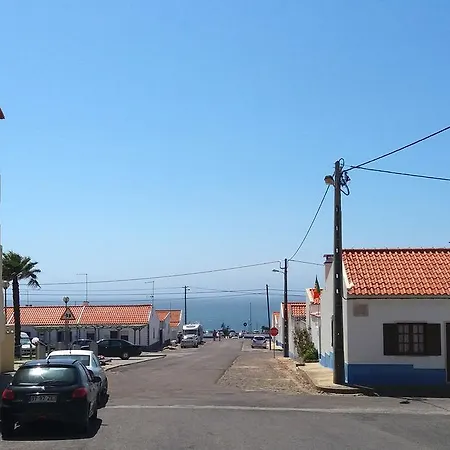 Pata Da Gaivota